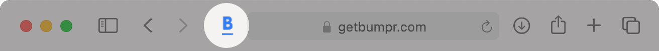 Safari toolbar showing the Bumpr extension button